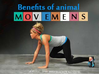 Benefits of animal movements